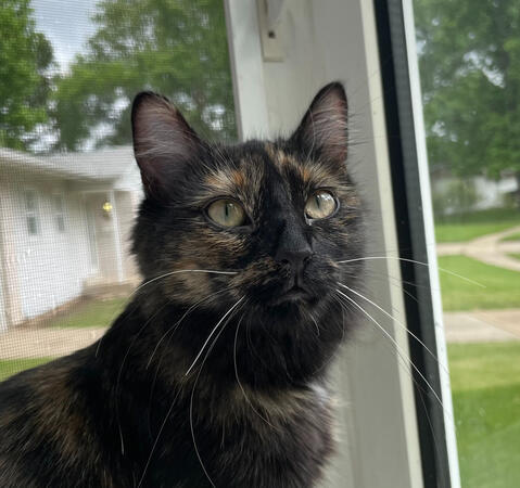 Maybelle, Otherwise known as Guga. (girl)