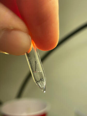 Highly pressurized Xenon gas, condenses at 16c° here